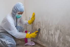 Best Commercial Mold Inspection  in Manistique, MI